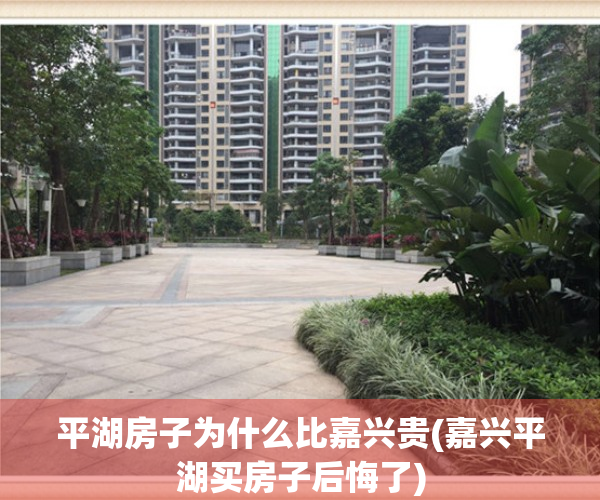 平湖房子为什么比嘉兴贵(嘉兴平湖买房子后悔了)