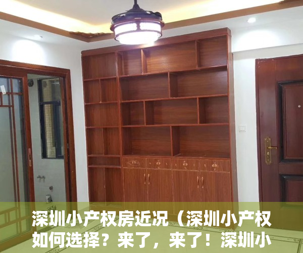 深圳小产权房近况（深圳小产权如何选择？来了，来了！深圳小产权房干货分享）