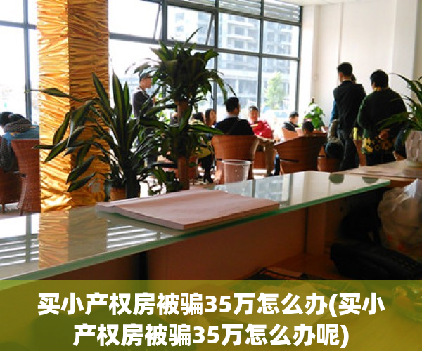 买小产权房被骗35万怎么办(买小产权房被骗35万怎么办呢)