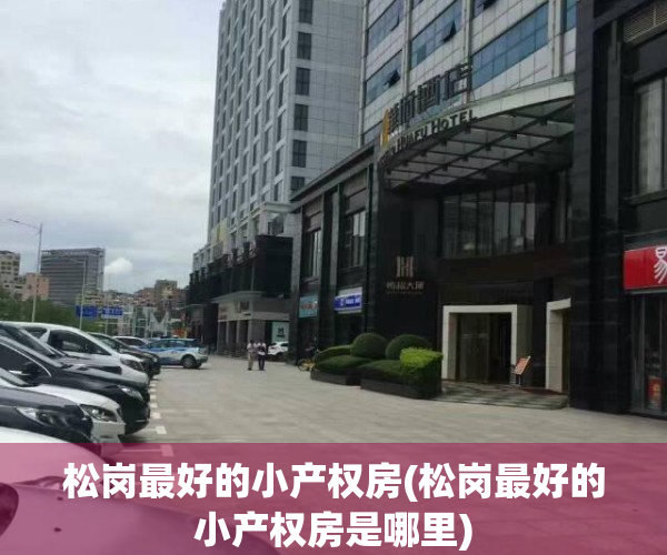 松岗最好的小产权房(松岗最好的小产权房是哪里)