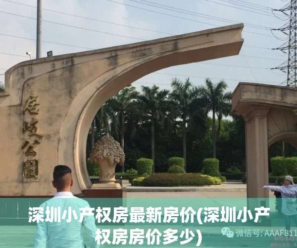 深圳小产权房最新房价(深圳小产权房房价多少)