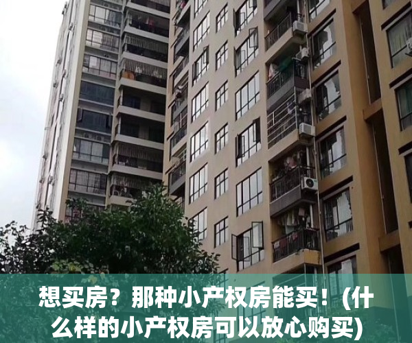 想买房？那种小产权房能买！(什么样的小产权房可以放心购买)