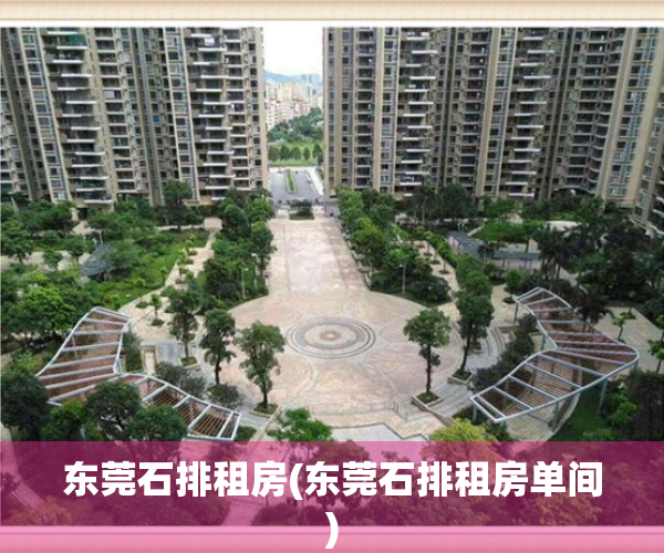 东莞石排租房(东莞石排租房单间)