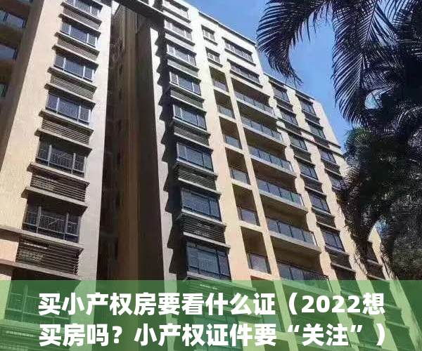 买小产权房要看什么证（2022想买房吗？小产权证件要“关注”）(买小产权房注意)