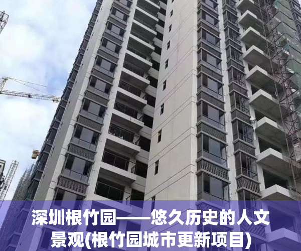 深圳根竹园——悠久历史的人文景观(根竹园城市更新项目)