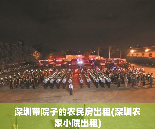 深圳带院子的农民房出租(深圳农家小院出租)