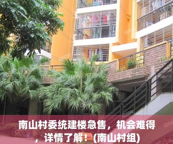 南山村委统建楼急售，机会难得，详情了解！(南山村组)