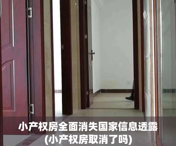小产权房全面消失国家信息透露(小产权房取消了吗)