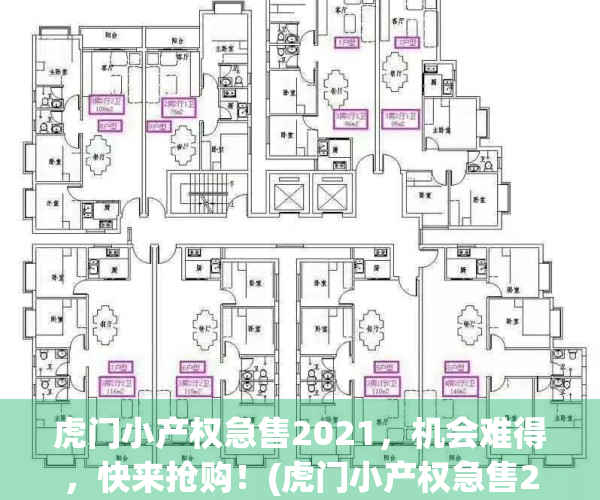虎门小产权急售2021，机会难得，快来抢购！(虎门小产权急售2020)