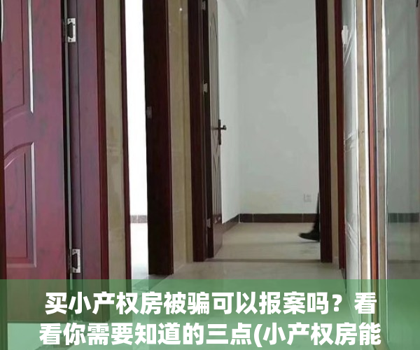 买小产权房被骗可以报案吗？看看你需要知道的三点(小产权房能报案诈骗吗)