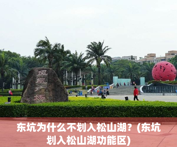 东坑为什么不划入松山湖？(东坑划入松山湖功能区)