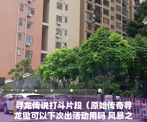寻龙传说打斗片段（原始传奇寻龙锄可以下次出活动用吗 风暴之争传奇之战寻龙锄哪里买）