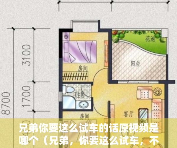 兄弟你要这么试车的话原视频是哪个（兄弟，你要这么试车，不买可不行啊！）