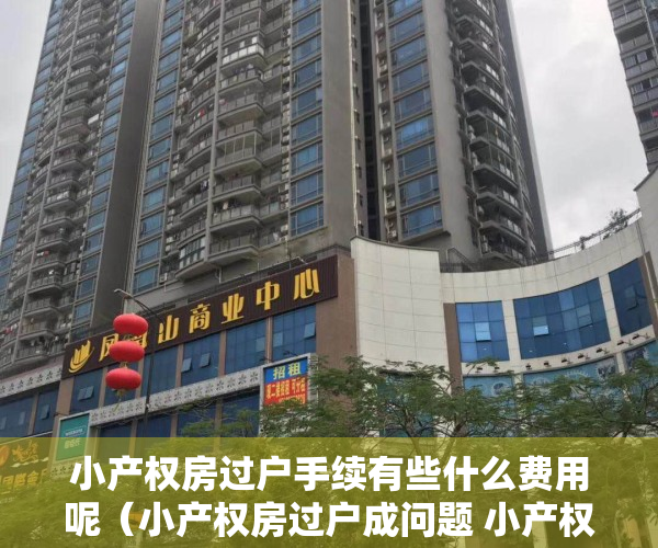 小产权房过户手续有些什么费用呢（小产权房过户成问题 小产权房的明天赌不得）