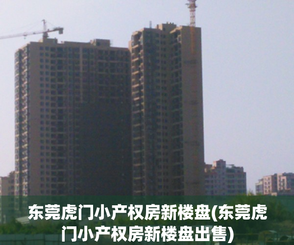 东莞虎门小产权房新楼盘(东莞虎门小产权房新楼盘出售)