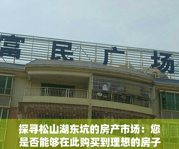 探寻松山湖东坑的房产市场：您是否能够在此购买到理想的房子？(东莞松山湖房价2021最新价格)