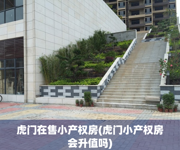 虎门在售小产权房(虎门小产权房会升值吗)