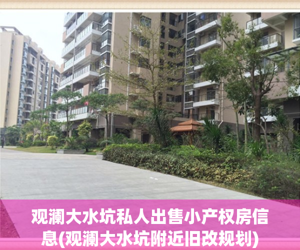 观澜大水坑私人出售小产权房信息(观澜大水坑附近旧改规划)