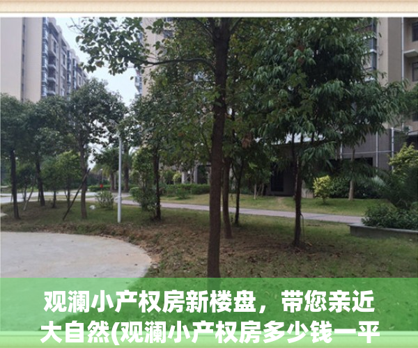 观澜小产权房新楼盘，带您亲近大自然(观澜小产权房多少钱一平方)