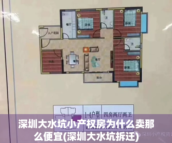 深圳大水坑小产权房为什么卖那么便宜(深圳大水坑拆迁)