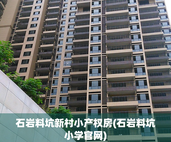 石岩料坑新村小产权房(石岩料坑小学官网)