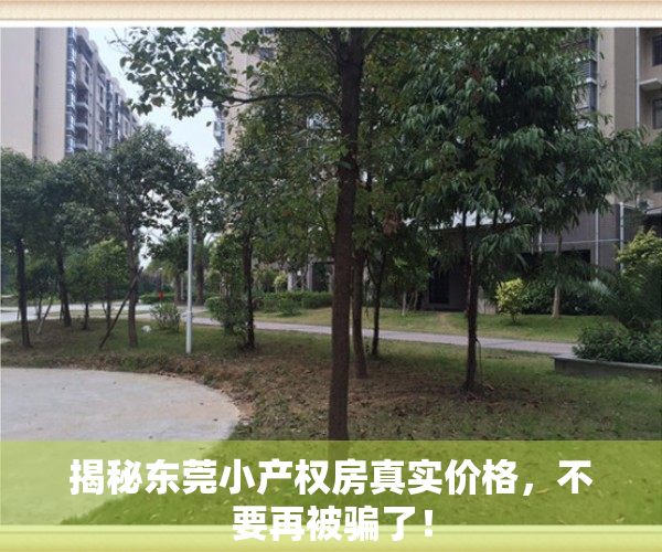 揭秘东莞小产权房真实价格，不要再被骗了！