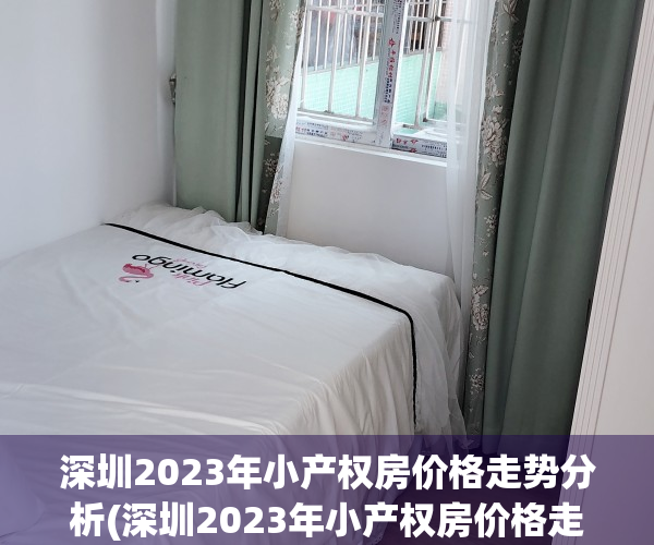 深圳2023年小产权房价格走势分析(深圳2023年小产权房价格走势分析表)