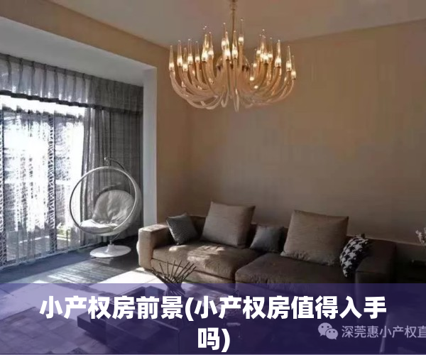 小产权房前景(小产权房值得入手吗)