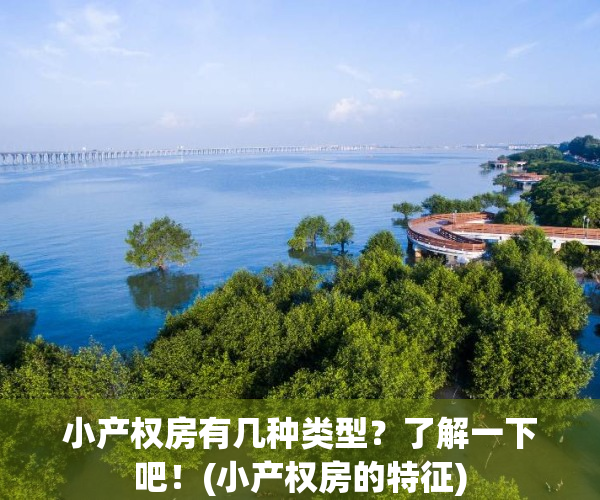 小产权房有几种类型？了解一下吧！(小产权房的特征)