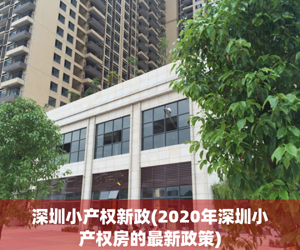 深圳小产权新政(2020年深圳小产权房的最新政策)