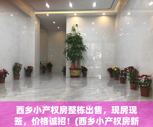 西乡小产权房整栋出售，现房现签，价格诚招！(西乡小产权房新楼盘)