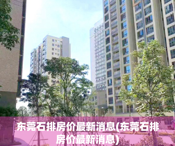 东莞石排房价最新消息(东莞石排房价最新消息)