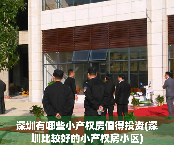 深圳有哪些小产权房值得投资(深圳比较好的小产权房小区)