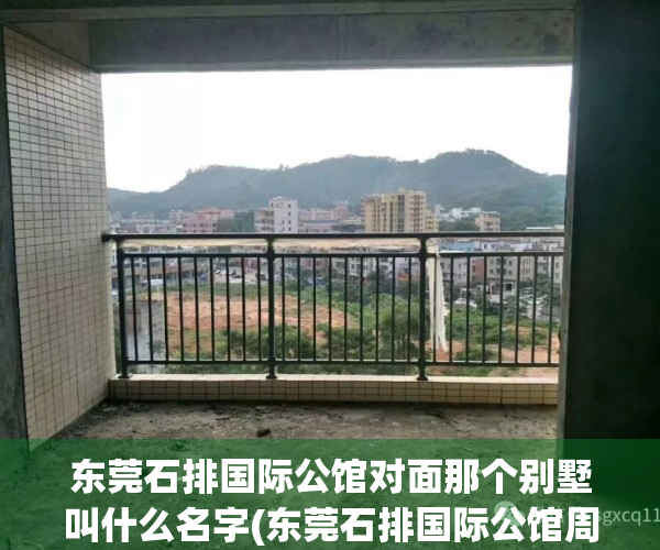 东莞石排国际公馆对面那个别墅叫什么名字(东莞石排国际公馆周边规划)