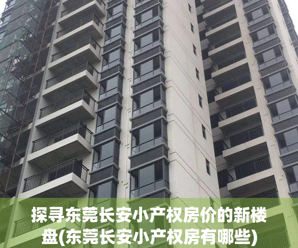 探寻东莞长安小产权房价的新楼盘(东莞长安小产权房有哪些)