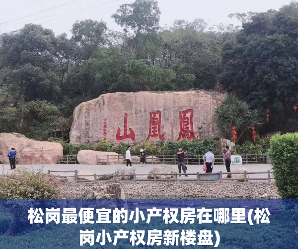 松岗最便宜的小产权房在哪里(松岗小产权房新楼盘)