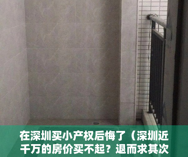 在深圳买小产权后悔了（深圳近千万的房价买不起？退而求其次去东莞买套100W小产权！）