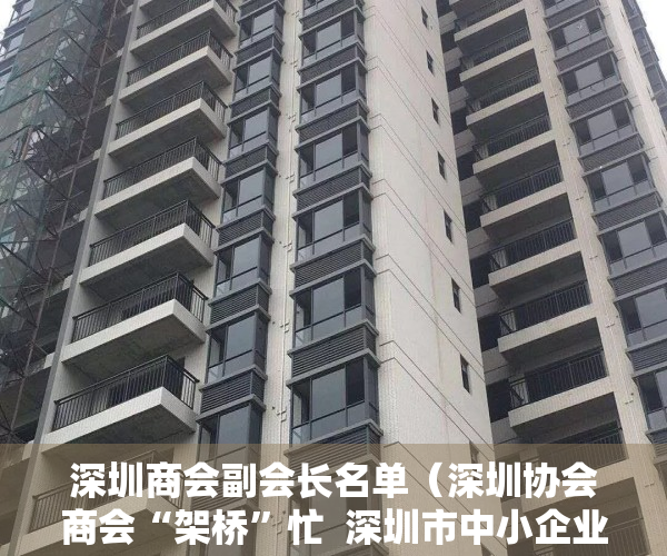 深圳商会副会长名单（深圳协会商会“架桥”忙  深圳市中小企业发展促进会：急中小微企业之所急）
