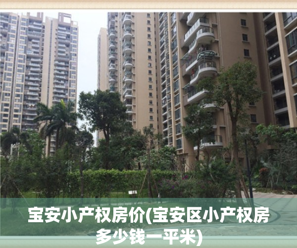 宝安小产权房价(宝安区小产权房多少钱一平米)