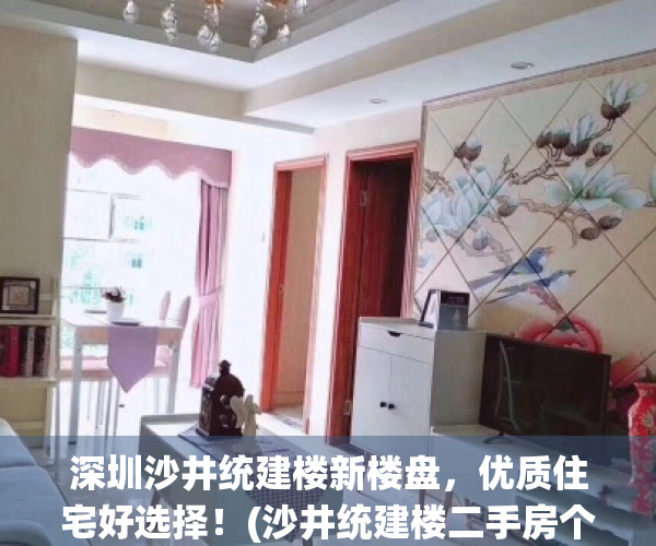 深圳沙井统建楼新楼盘，优质住宅好选择！(沙井统建楼二手房个人出售)