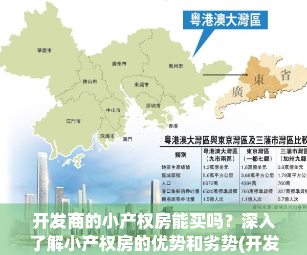 开发商的小产权房能买吗？深入了解小产权房的优势和劣势(开发商小产权房会发生什么纠纷)
