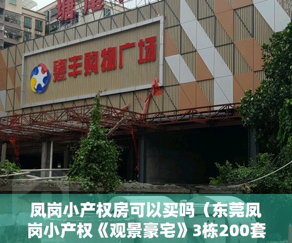 凤岗小产权房可以买吗（东莞凤岗小产权《观景豪宅》3栋200套 凤岗体育馆旁边 均价5980元起）