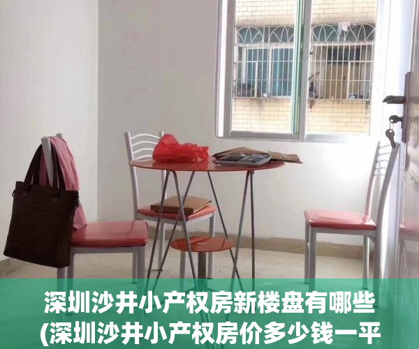 深圳沙井小产权房新楼盘有哪些(深圳沙井小产权房价多少钱一平方)
