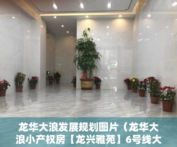 龙华大浪发展规划图片（龙华大浪小产权房【龙兴雅苑】6号线大浪地铁口  单间208万套起）