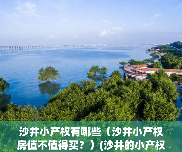 沙井小产权有哪些（沙井小产权房值不值得买？）(沙井的小产权房哪个小区比较好)