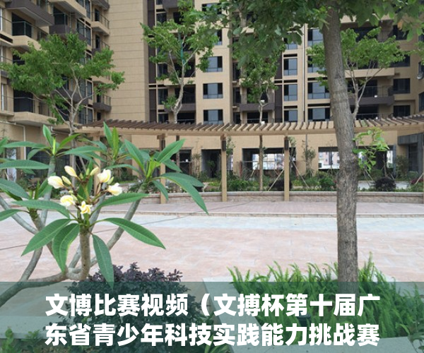 文博比赛视频（文搏杯第十届广东省青少年科技实践能力挑战赛在东莞长安举行）