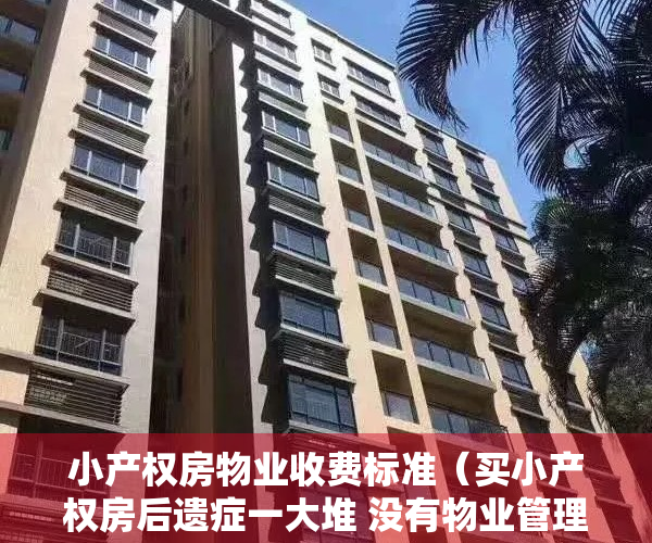 小产权房物业收费标准（买小产权房后遗症一大堆 没有物业管理资质）