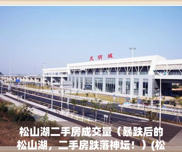 松山湖二手房成交量（暴跌后的松山湖，二手房跌落神坛！）(松山湖楼盘二手房)