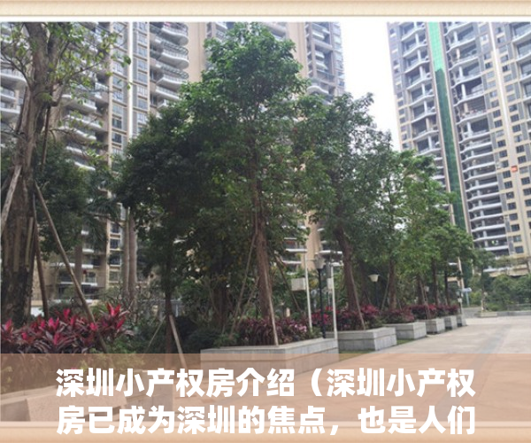 深圳小产权房介绍（深圳小产权房已成为深圳的焦点，也是人们生活的重要领域。权利和利益问题一直受到特别关注。）