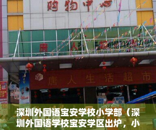 深圳外国语宝安学校小学部（深圳外国语学校宝安学区出炉，小产权房也能入名校。）